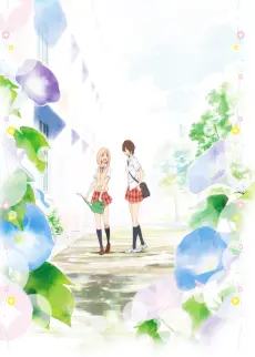 Your Light: Kase-san and Morning Glories